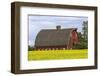 Red barn surrounded by canola in the Flathead Valley, Montana, USA-Chuck Haney-Framed Photographic Print