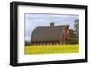 Red barn surrounded by canola in the Flathead Valley, Montana, USA-Chuck Haney-Framed Photographic Print