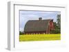 Red barn surrounded by canola in the Flathead Valley, Montana, USA-Chuck Haney-Framed Photographic Print