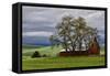 Red Barn under Stormy Skies with Green Peas, Palouse, Washington, USA-Jaynes Gallery-Framed Stretched Canvas