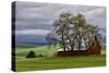 Red Barn under Stormy Skies with Green Peas, Palouse, Washington, USA-Jaynes Gallery-Stretched Canvas