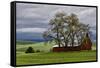 Red Barn under Stormy Skies with Green Peas, Palouse, Washington, USA-Jaynes Gallery-Framed Stretched Canvas