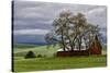 Red Barn under Stormy Skies with Green Peas, Palouse, Washington, USA-Jaynes Gallery-Stretched Canvas