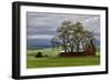 Red Barn under Stormy Skies with Green Peas, Palouse, Washington, USA-Jaynes Gallery-Framed Photographic Print