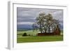 Red Barn under Stormy Skies with Green Peas, Palouse, Washington, USA-Jaynes Gallery-Framed Photographic Print