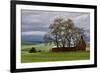Red Barn under Stormy Skies with Green Peas, Palouse, Washington, USA-Jaynes Gallery-Framed Photographic Print