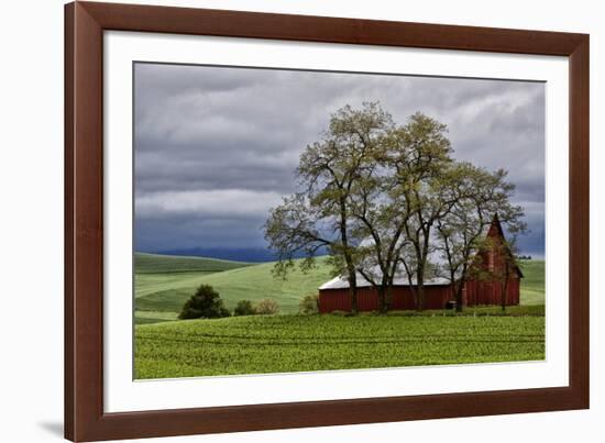 Red Barn under Stormy Skies with Green Peas, Palouse, Washington, USA-Jaynes Gallery-Framed Photographic Print