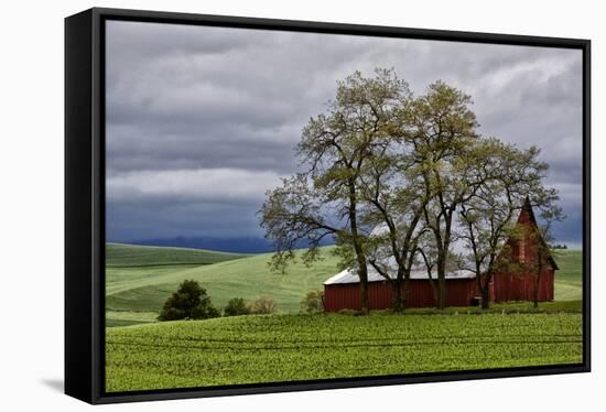 Red Barn under Stormy Skies with Green Peas, Palouse, Washington, USA-Jaynes Gallery-Framed Stretched Canvas