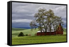 Red Barn under Stormy Skies with Green Peas, Palouse, Washington, USA-Jaynes Gallery-Framed Stretched Canvas