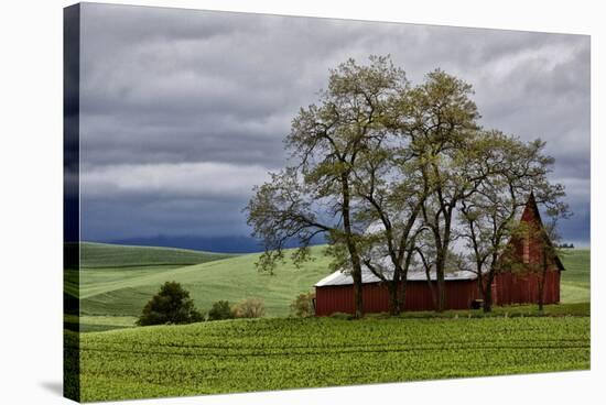 Red Barn under Stormy Skies with Green Peas, Palouse, Washington, USA-Jaynes Gallery-Stretched Canvas