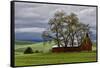 Red Barn under Stormy Skies with Green Peas, Palouse, Washington, USA-Jaynes Gallery-Framed Stretched Canvas