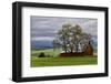 Red Barn under Stormy Skies with Green Peas, Palouse, Washington, USA-Jaynes Gallery-Framed Photographic Print