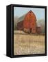 Red Barn View I-Tim O'toole-Framed Stretched Canvas