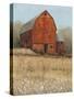 Red Barn View I-Tim O'toole-Stretched Canvas