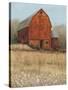 Red Barn View I-Tim O'toole-Stretched Canvas