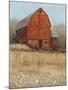 Red Barn View I-Tim O'toole-Mounted Art Print