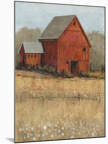 Red Barn View II-Tim O'toole-Mounted Art Print