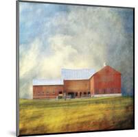 Red Barn-Dawne Polis-Mounted Giclee Print