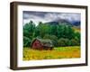 Red Barn-Steven Maxx-Framed Photographic Print