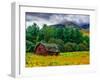 Red Barn-Steven Maxx-Framed Photographic Print