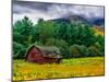 Red Barn-Steven Maxx-Mounted Photographic Print