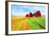 Red Barn-Ata Alishahi-Framed Giclee Print