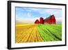 Red Barn-Ata Alishahi-Framed Giclee Print