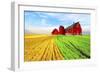 Red Barn-Ata Alishahi-Framed Giclee Print