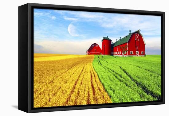 Red Barn-Ata Alishahi-Framed Stretched Canvas