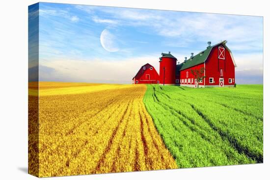 Red Barn-Ata Alishahi-Stretched Canvas