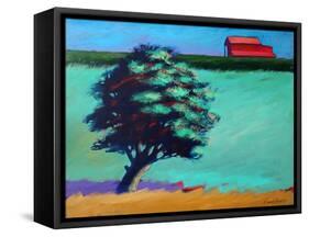 Red Barn-Paul Powis-Framed Stretched Canvas