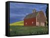 Red Barns and Canola Fields, Eastern Washington, USA-Darrell Gulin-Framed Stretched Canvas