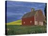 Red Barns and Canola Fields, Eastern Washington, USA-Darrell Gulin-Stretched Canvas