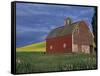 Red Barns and Canola Fields, Eastern Washington, USA-Darrell Gulin-Framed Stretched Canvas