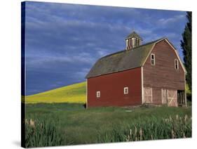 Red Barns and Canola Fields, Eastern Washington, USA-Darrell Gulin-Stretched Canvas