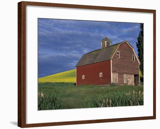 Red Barns and Canola Fields, Eastern Washington, USA-Darrell Gulin-Framed Photographic Print