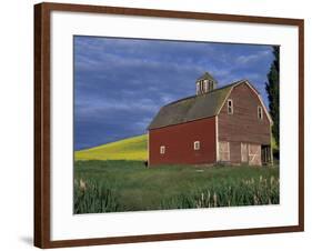 Red Barns and Canola Fields, Eastern Washington, USA-Darrell Gulin-Framed Photographic Print