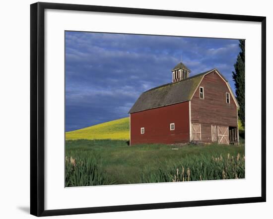 Red Barns and Canola Fields, Eastern Washington, USA-Darrell Gulin-Framed Photographic Print