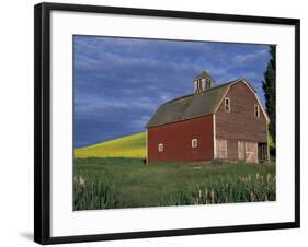 Red Barns and Canola Fields, Eastern Washington, USA-Darrell Gulin-Framed Photographic Print