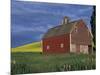 Red Barns and Canola Fields, Eastern Washington, USA-Darrell Gulin-Mounted Photographic Print