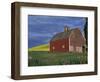 Red Barns and Canola Fields, Eastern Washington, USA-Darrell Gulin-Framed Photographic Print