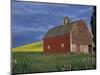 Red Barns and Canola Fields, Eastern Washington, USA-Darrell Gulin-Mounted Photographic Print