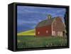 Red Barns and Canola Fields, Eastern Washington, USA-Darrell Gulin-Framed Stretched Canvas