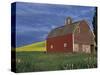 Red Barns and Canola Fields, Eastern Washington, USA-Darrell Gulin-Stretched Canvas