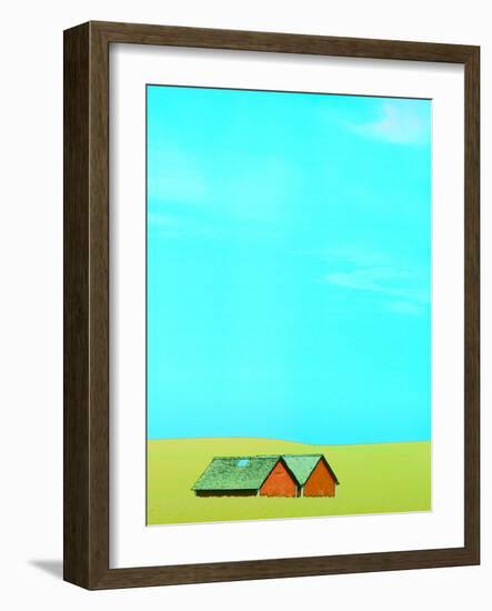 Red Barns in Yellow Field-null-Framed Photographic Print