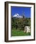 Red Bartlett Pears-Steve Terrill-Framed Photographic Print