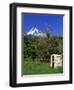 Red Bartlett Pears-Steve Terrill-Framed Photographic Print