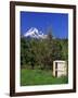 Red Bartlett Pears-Steve Terrill-Framed Photographic Print