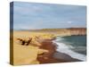 Red Beach, Paracas National Reserve, Ica Region, Peru, South America-Karol Kozlowski-Stretched Canvas