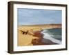 Red Beach, Paracas National Reserve, Ica Region, Peru, South America-Karol Kozlowski-Framed Photographic Print